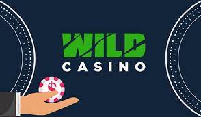 Total Review of Wild Online Casino